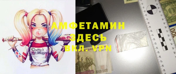 индика Алзамай