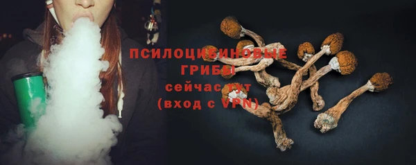 сатива Алексин