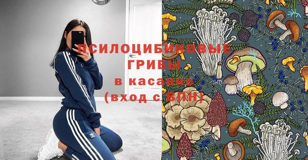 таблы Алексеевка