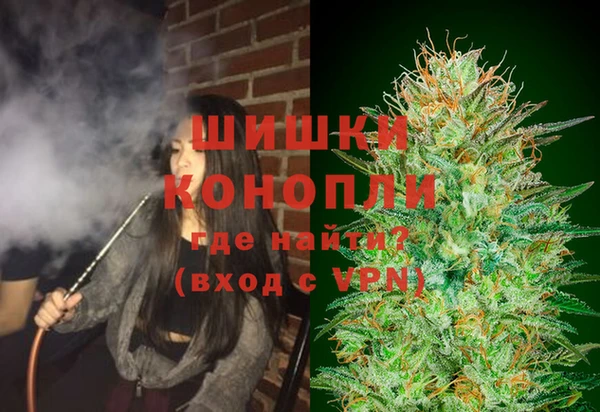 индика Алзамай