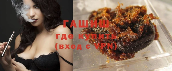 индика Алзамай