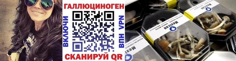 Псилоцибиновые грибы Psilocybine cubensis  Харабали 